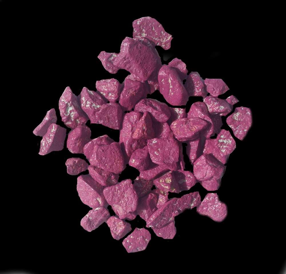 Phalaenopsis Elegant 'Polka Dots' 8 IMG 56652 ml