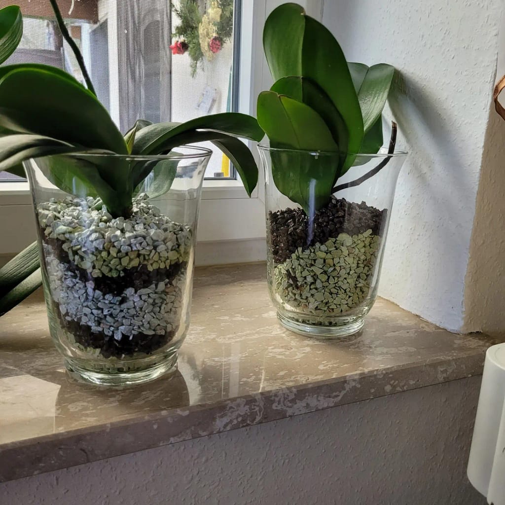 #5 Erfahrung über Colomi 3 IMG_20230113_134622_149