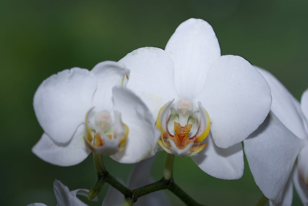 Fotogalerie 104 BVO 5069