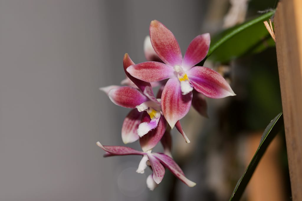 Fotogalerie 101 BVO 5089