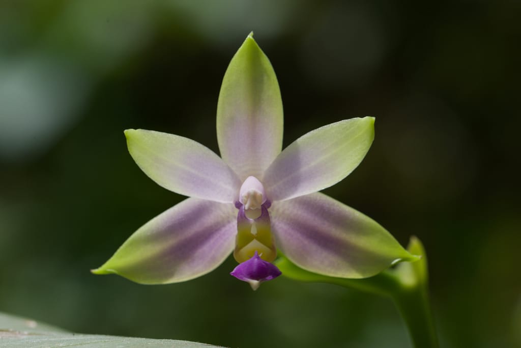 Fotogalerie 99 BVO 5348