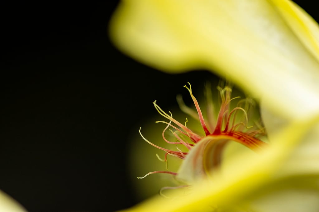 Fotogalerie 91 BVO 9552