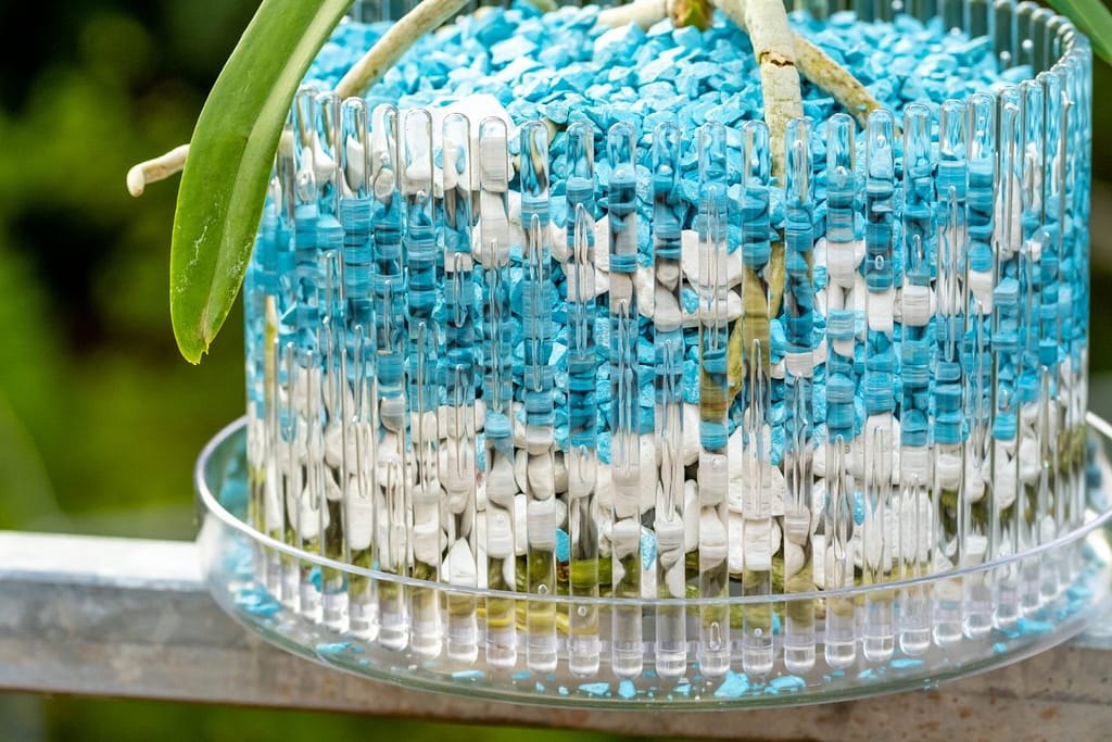 Vanda Lake Michigan 4 BVO_2209