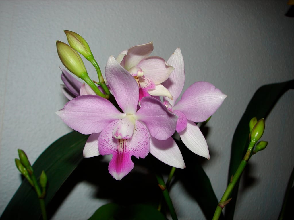 Fotogalerie 73 DSC09990