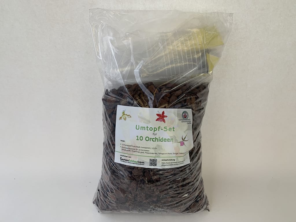 Orchideen Umtopf-Set 5 10er_umtopfset12cm