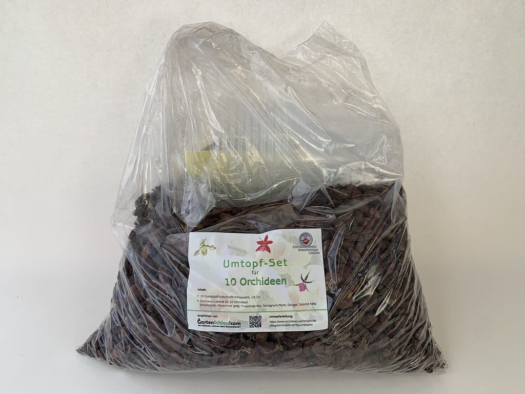 Orchideen Umtopf-Set 9 10erumtopfset14cm