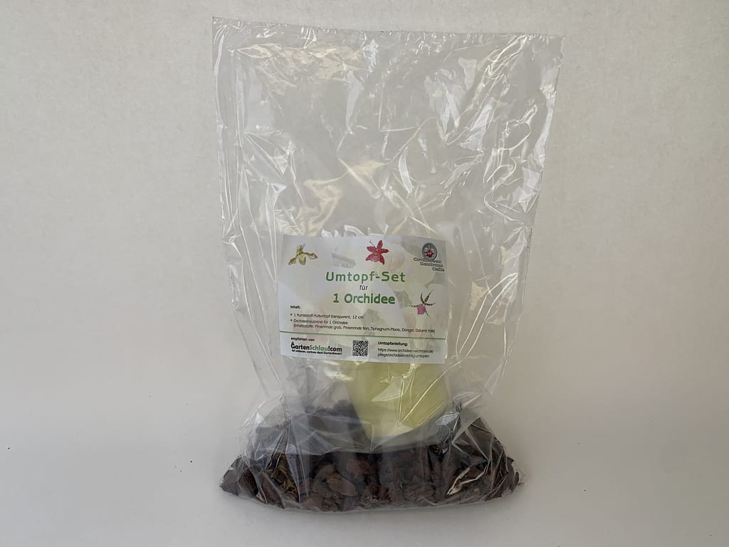 Orchideen Umtopf-Set 2 1erumtopfset12cm