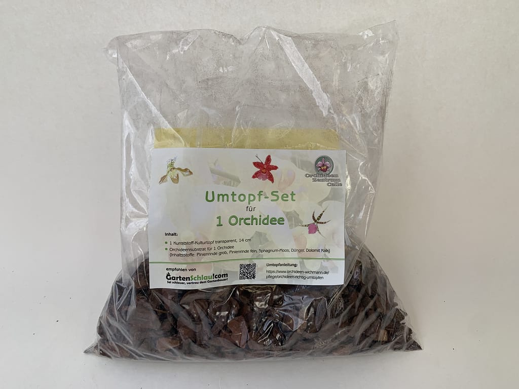 Orchideen Umtopf-Set 6 1erumtopfset14cm