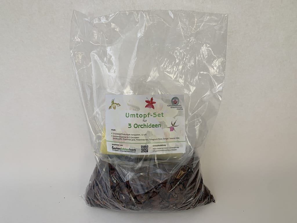 Orchideen Umtopf-Set 3 3erumtopfset12cm