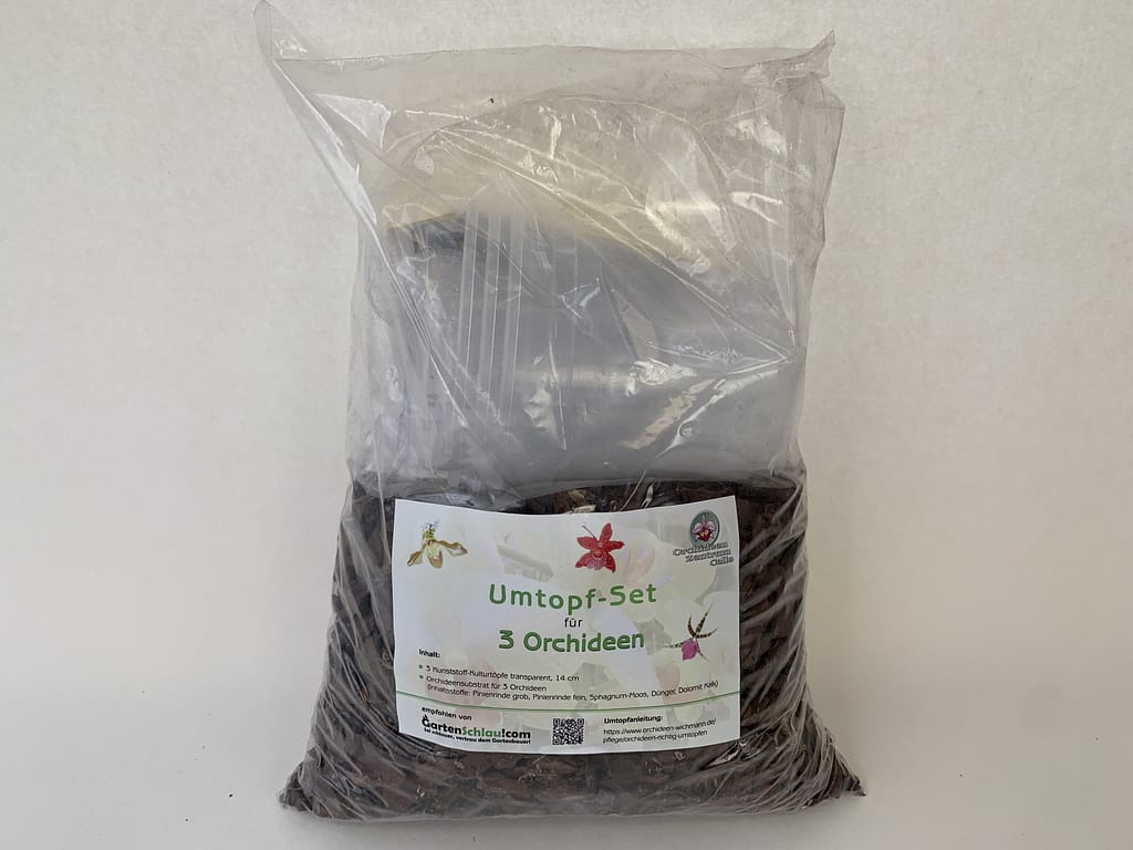 Orchideen Umtopf-Set 7 3erumtopfset14cm