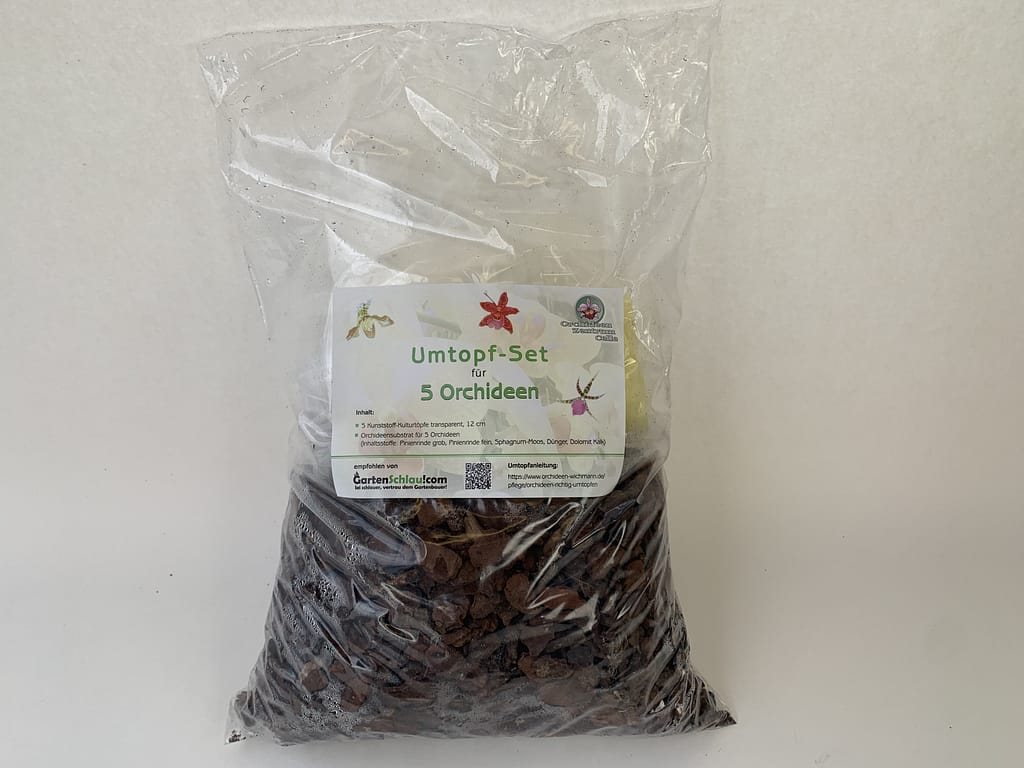 Orchideen Umtopf-Set 4 5erumtopf12cm