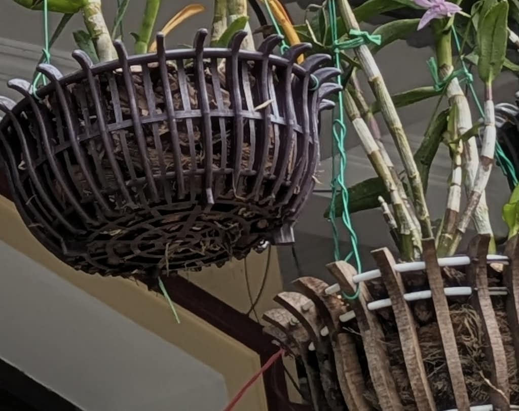 Die ersten Eindrücke von Vietnam – Orchideen zwischen Alltag und Gelassenheit 5 Image