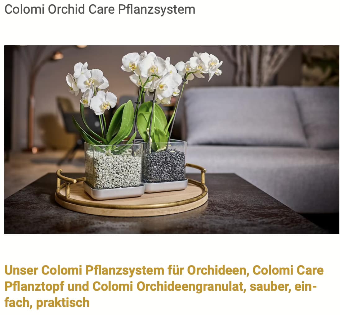 Colomi Orchid Care – Warum dieses Pflanzsystem Orchideenpflege neu definiert 2 Bildschirmfoto 2026 01 27 um 19.56.40