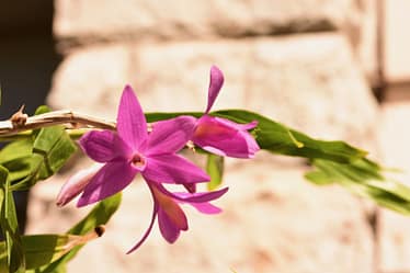 Update: Jeder kennt sie, doch keiner mag sie 4 Bvo 5331