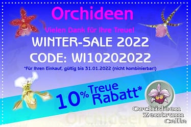 Winter-Sale bei Orchideen Wichmann 3 22008 slider wintersale2022