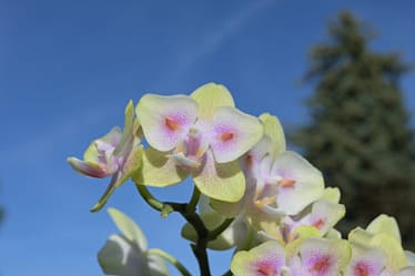 Sommerzeit ist Urlaubszeit 20 Bvo 1335