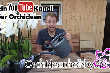 Er gießt seine Orchideen nicht mehr! 2 Maxresdefault (1)