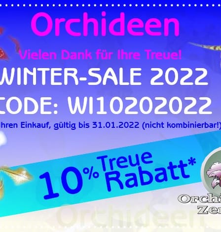 Winter-Sale bei Orchideen Wichmann 2 22008 slider wintersale2022