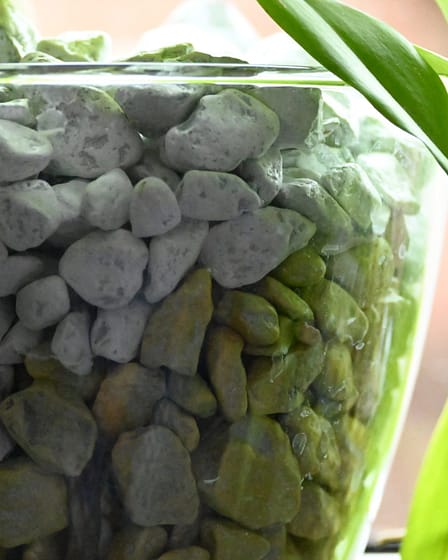 GARDENLINE® Orchideen-Granulat 1 Bvo 0597