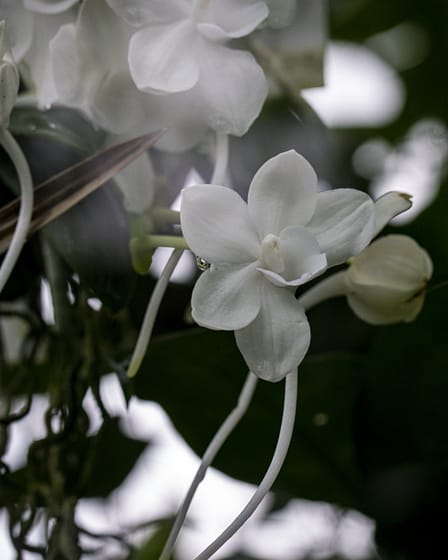 Fotogalerie 2 Dsc01258