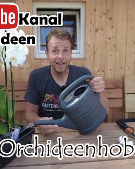 Er gießt seine Orchideen nicht mehr! 6 Maxresdefault (1)