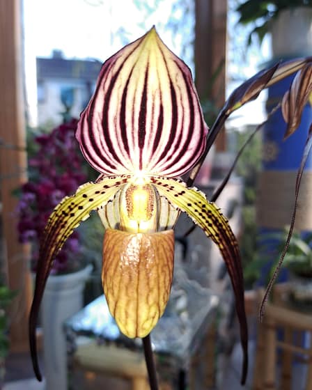 #3 Erfahrung über Colomi 3 20221202 122328