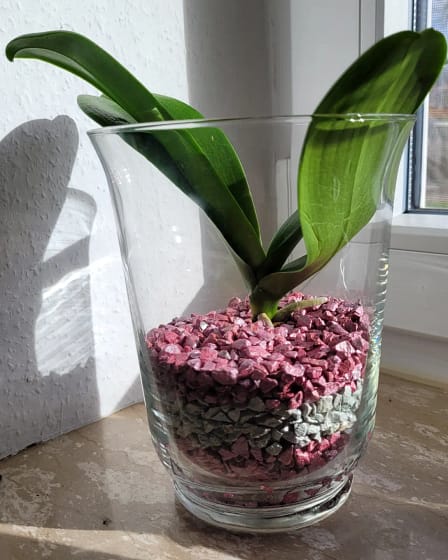 #5 Erfahrung über Colomi 1 Img 20230113 134622 119