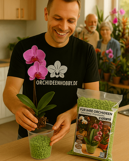 💧 Orchideen richtig gießen mit Colomi – so gelingt’s im Glasgefäß & OrchiTop 1 Chatgpt image 31. mai 2025, 16 28 52
