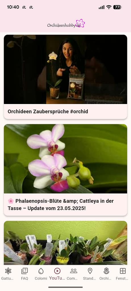 🌸 Die Orchideenhobby.de-App – Der YouTube-Screen: Inspiration direkt auf deinem Smartphone 2 WhatsApp Image 2025 12 04 at 10.41.32