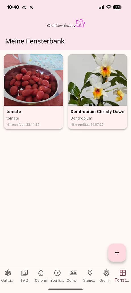 🌸 Die Orchideenhobby.de-App – „Meine Fensterbank“: Die persönliche Orchideen-Datenbank 6 WhatsApp Image 2025 12 04 at 10.41.31 (4)