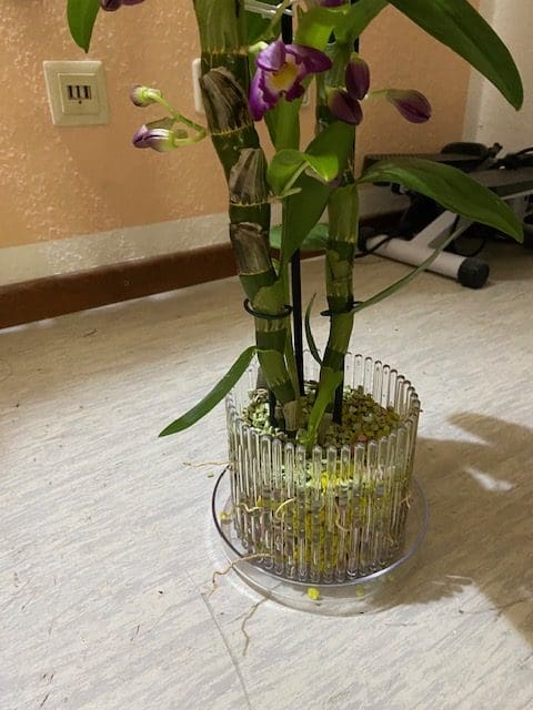 #1 Erfahrung über Colomi 17 IMG_8799