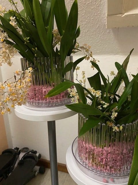 #1 Erfahrung über Colomi 16 IMG_8800