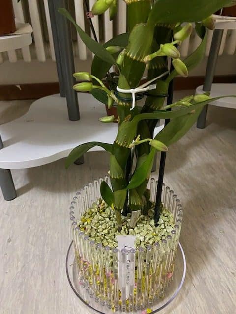 #1 Erfahrung über Colomi 14 IMG_8802