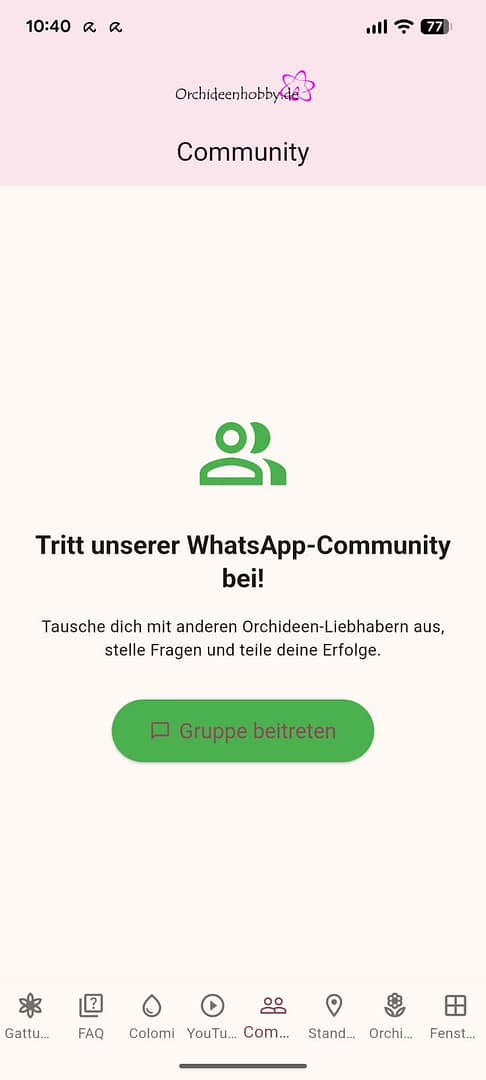 🌸 Die Orchideenhobby.de-App – Der Community-Screen: Ein Zuhause für alle Orchideenfreunde 1 WhatsApp Image 2025 12 04 at 10.41.31 (7)