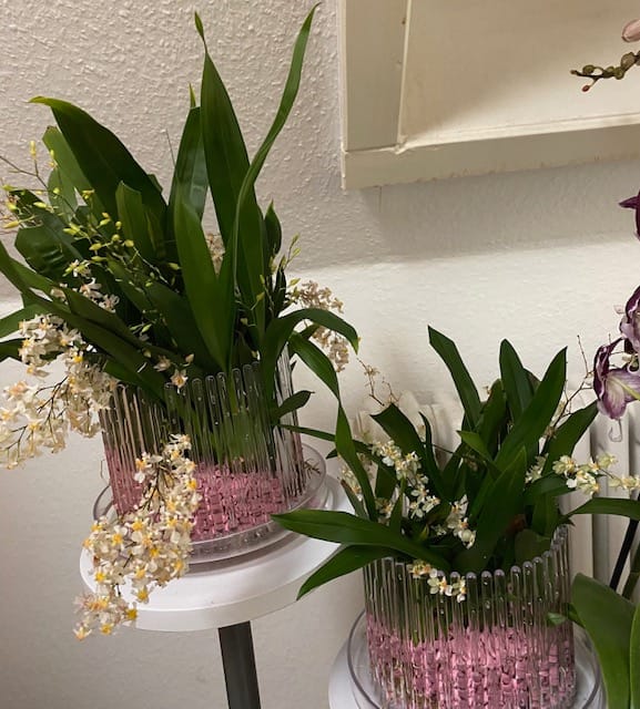 #1 Erfahrung über Colomi 4 IMG_8862