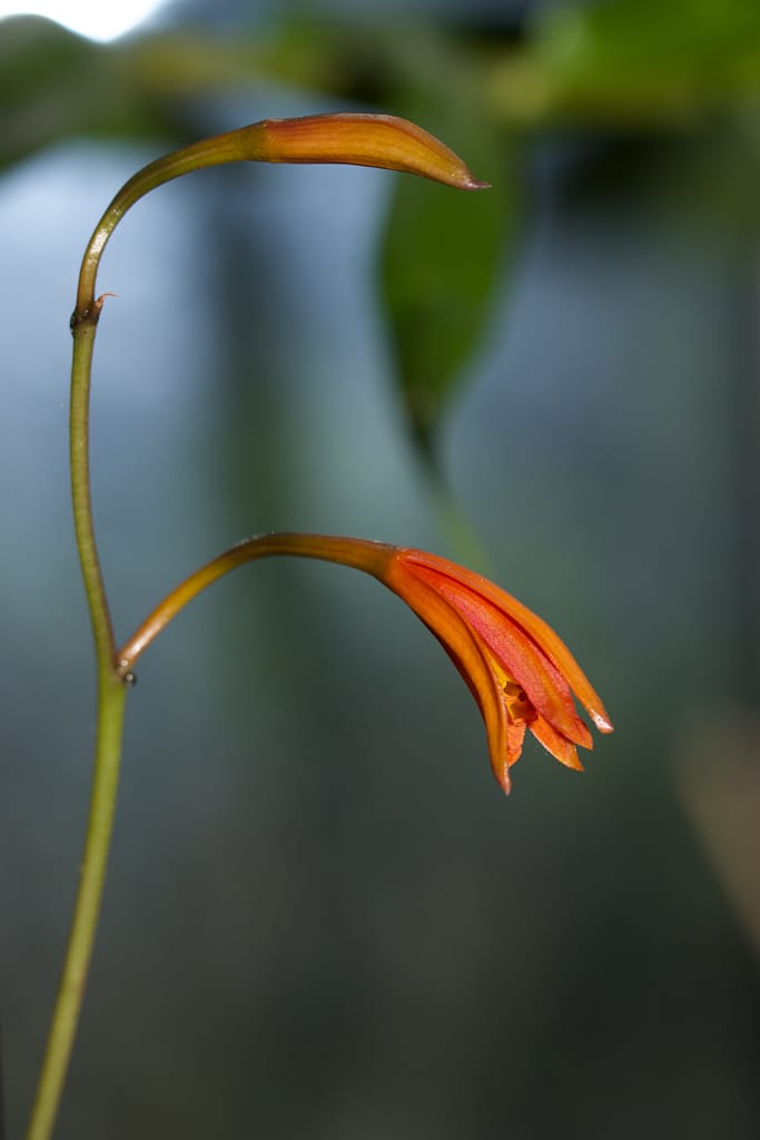 Fotogalerie 102 BVO 5078