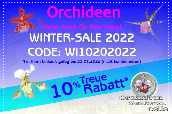 Winter-Sale bei Orchideen Wichmann