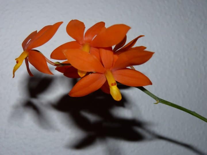 Fotogalerie 107 pinnwand 8