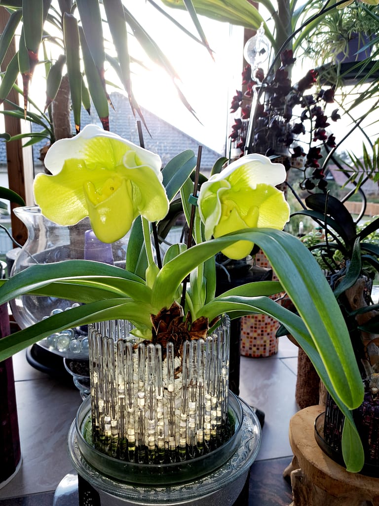 #3 Erfahrung über Colomi 4 20221202_122230