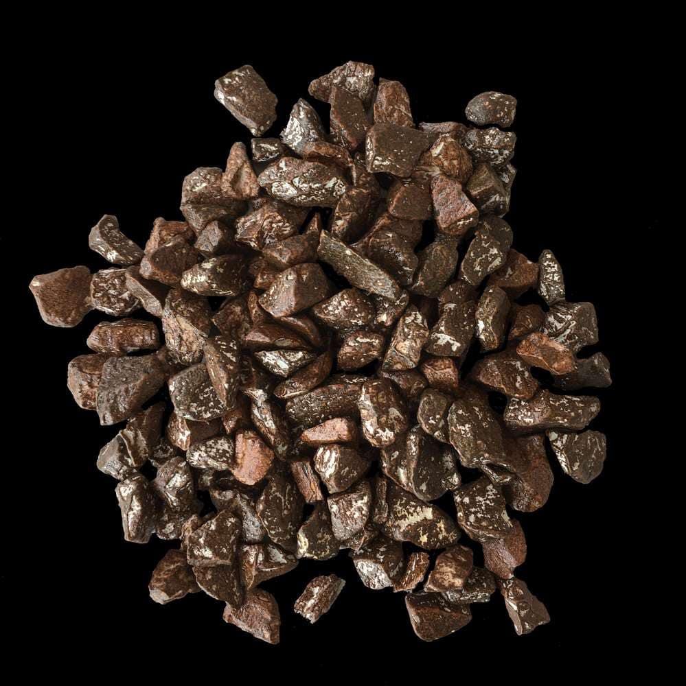 Phalaenopsis Sogo Fusion 10 IMG 1968a ml